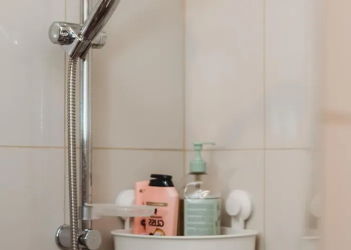 Old Town Private Room, Shared Bath - D 塔林